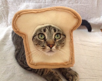 Bread your Cat Costume for Cats