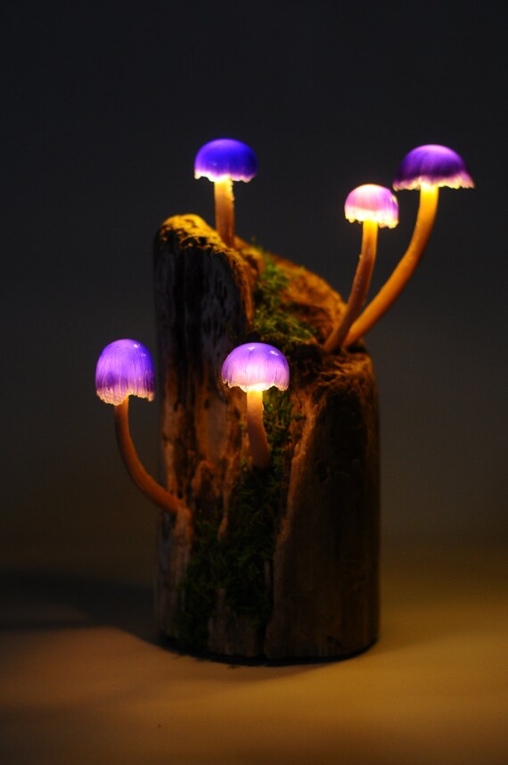 Mushroom lamp Purple five mushroom battery powered light.