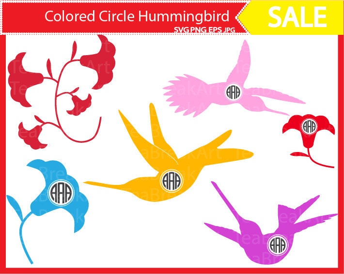 Download Hummingbird Circle Cutting Files SVG PNG EPS jpg Instant