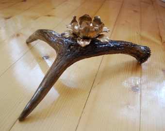 Candle Holder Horn Candle Holder Metal candle holder Horn