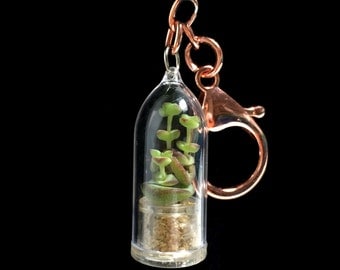 Live Succulent KeyChain / Mini Succulent Terrarium KeyChain/ Miniature Terrarium / Nature Jewelry Necklace