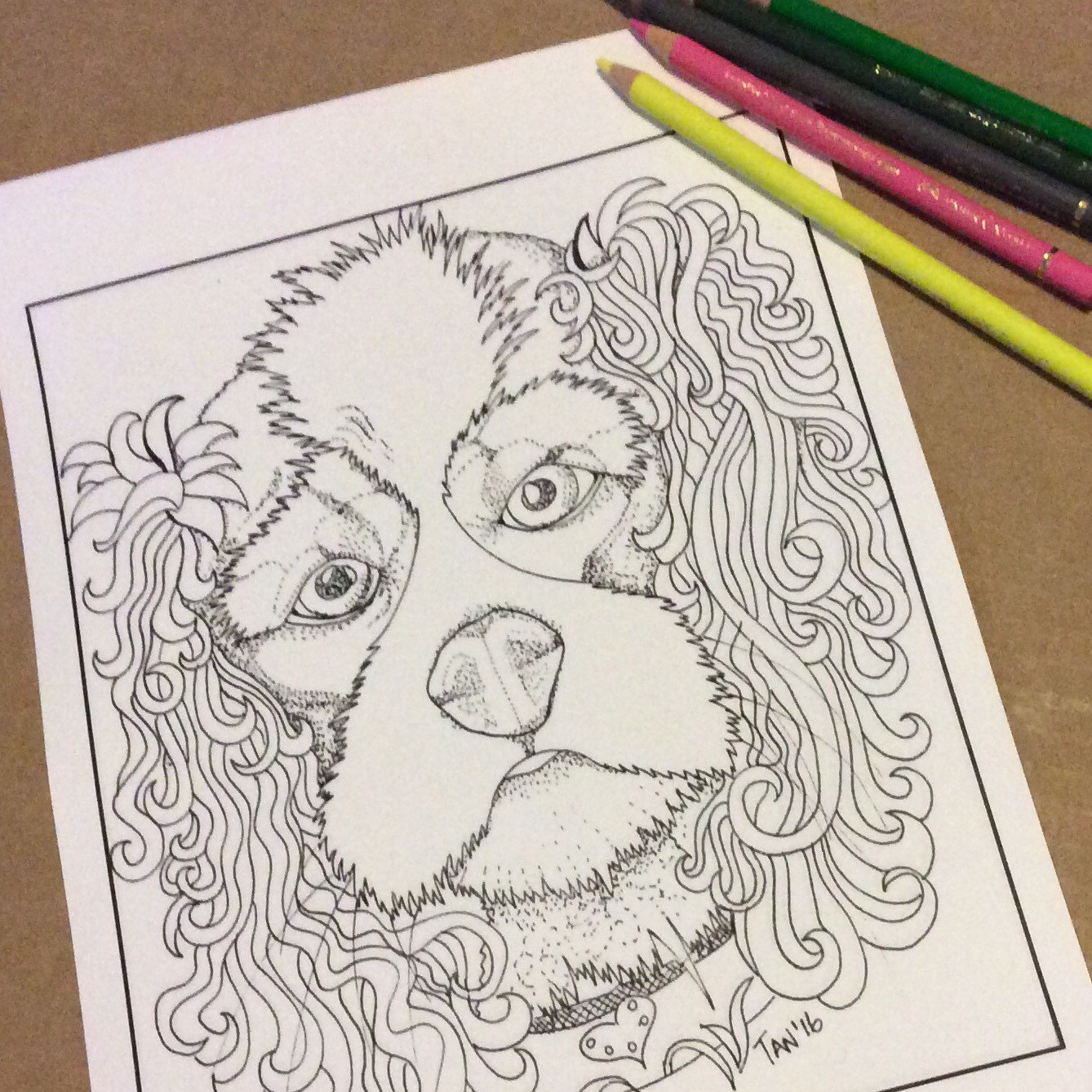 king charles cavalier coloring pages - photo #32