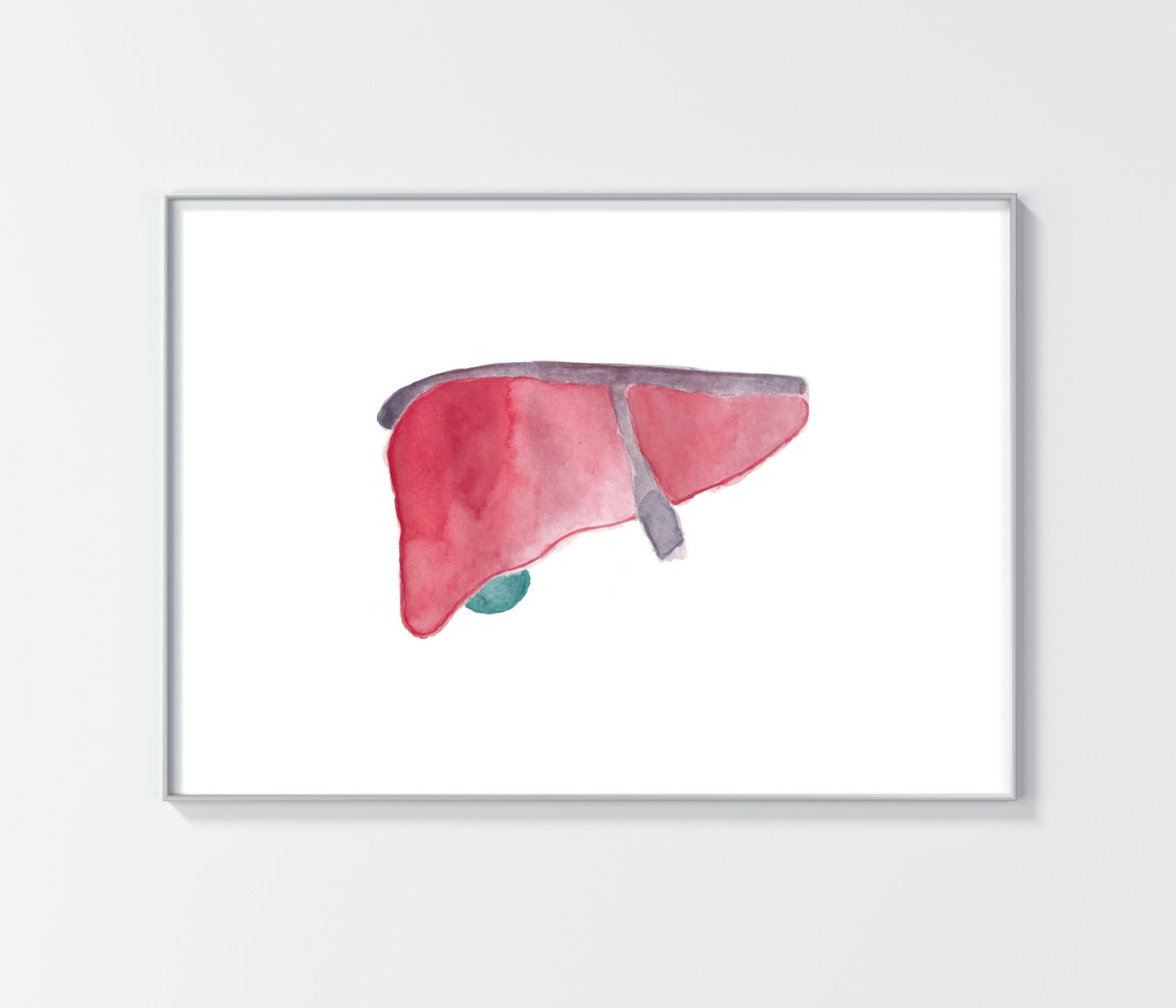 Liver Print Anatomy Art Doctor Gift Medical Art by MedPapers