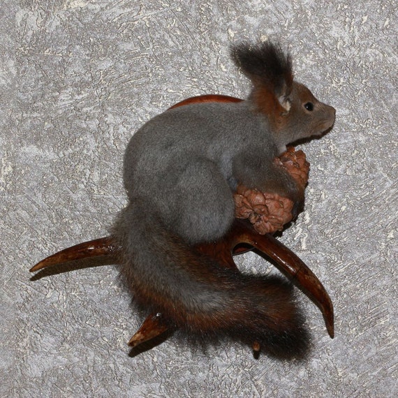 gray squirrel stuffed animal