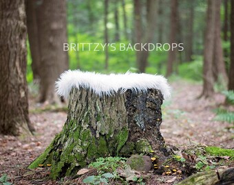 Tree Stomp Newborn Digital Backdrop