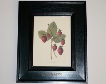 Strawberry print, La Fraise, French Country Design, hand painted frame