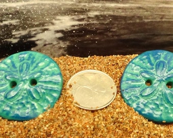 Dollars de Sable P60 (douzaine) - Trésors des océans