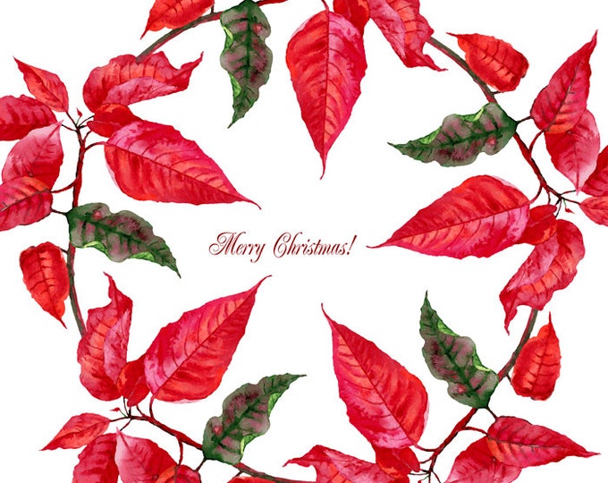 Christmas Poinsettia. Watercolor clipart, Christmas, clip art, christmas gifts, home decoration, gift,floral clipart, new year,