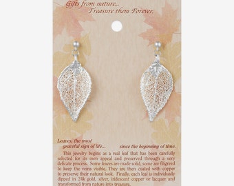 Real Evergreen Leaf Dipped In Silver Post Dangle Earrings - Real Dipped Leaves - On Card