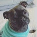 Roxy