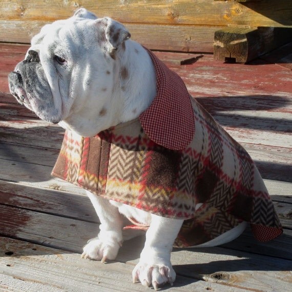 English Bulldog Reversible CoatFleeceFall winter dog coat