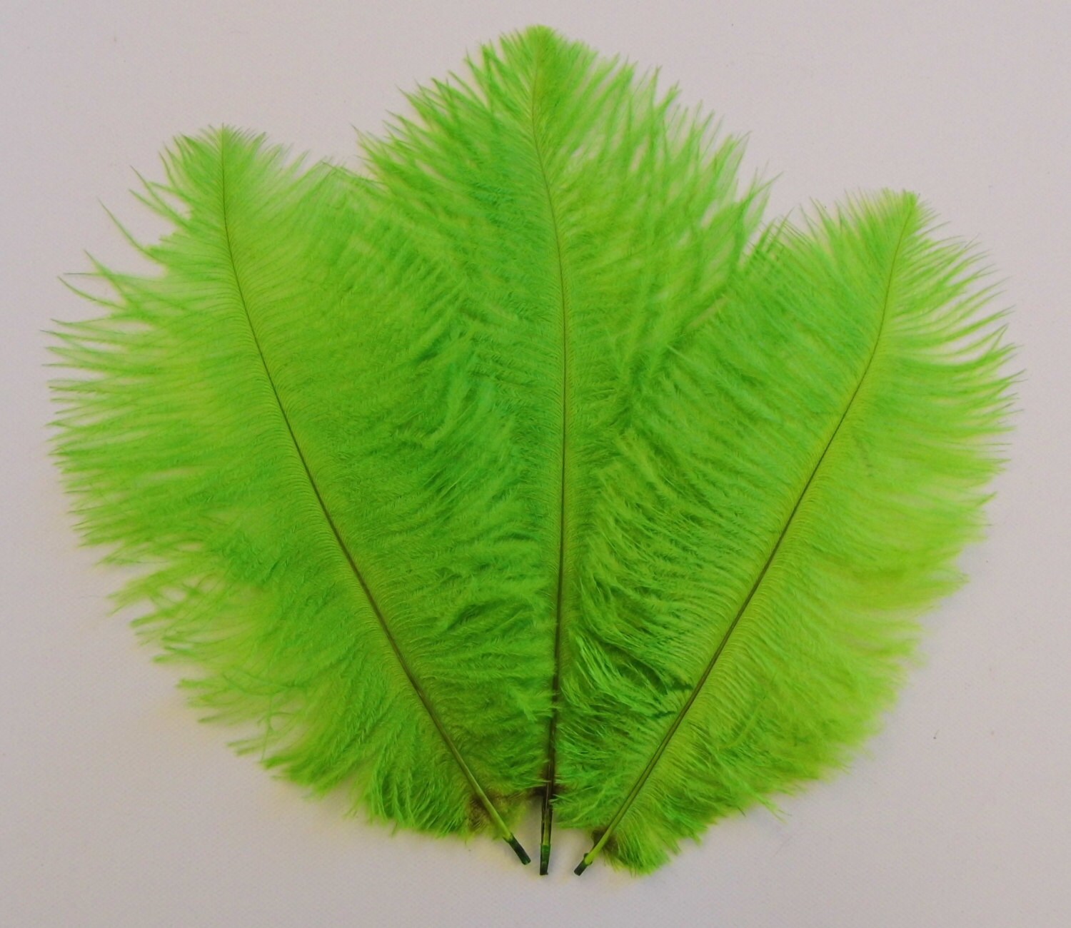 Neon Green Ostrich Feathers
