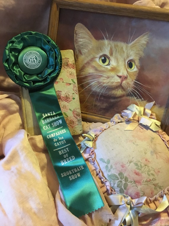 Vintage CFA CAT Show Satin Ribbon Rosette Award Second Best of