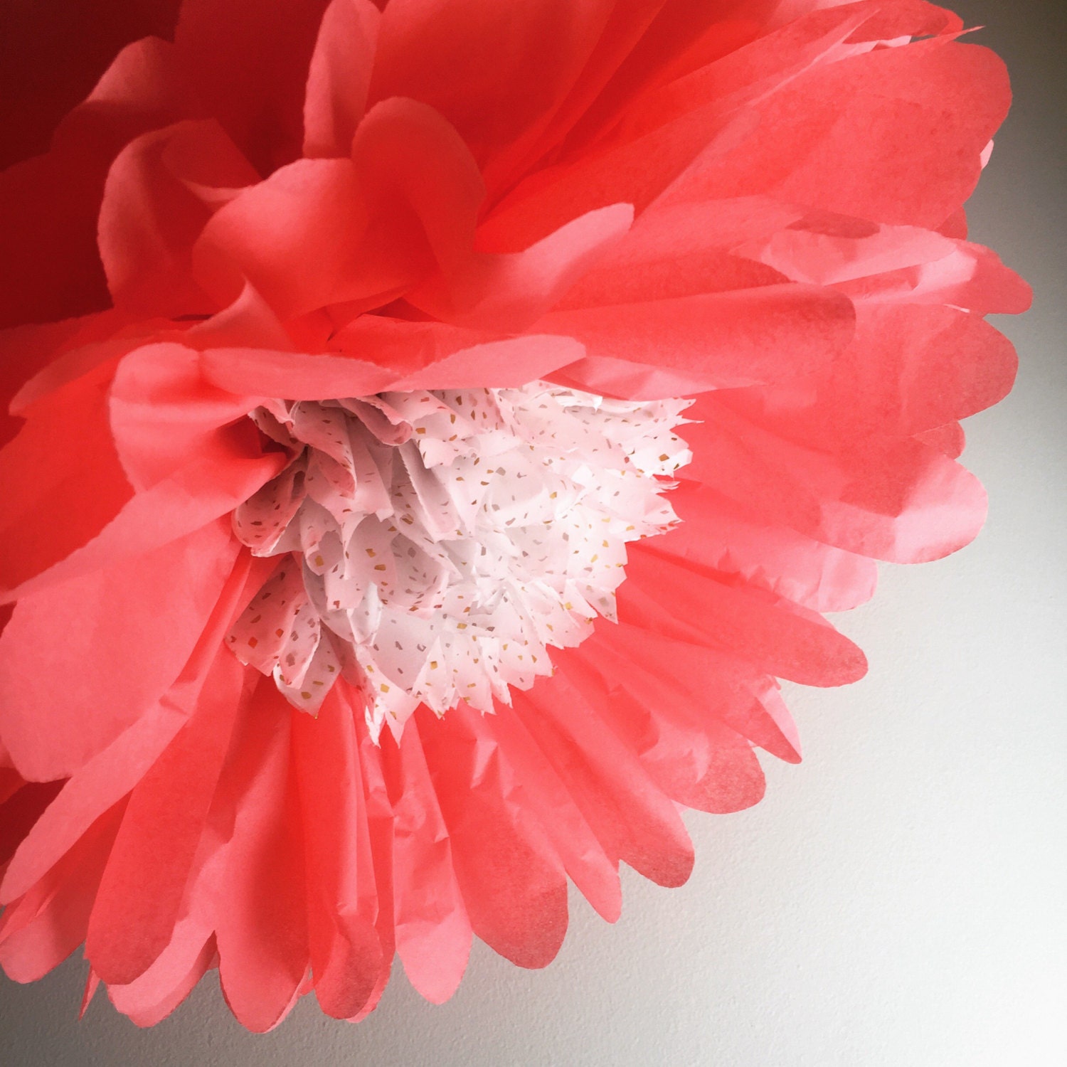 Tissue Flower Tissue Paper Flowers Flower Backdrop Tea