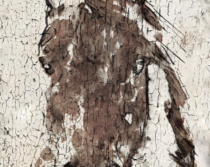 Shadow Horse. Extra Large Horse, Horse Wall Decor, Brown White Rustic Horse, Large Contemporary Canvas Art Print up to 72" by Irena Orlov