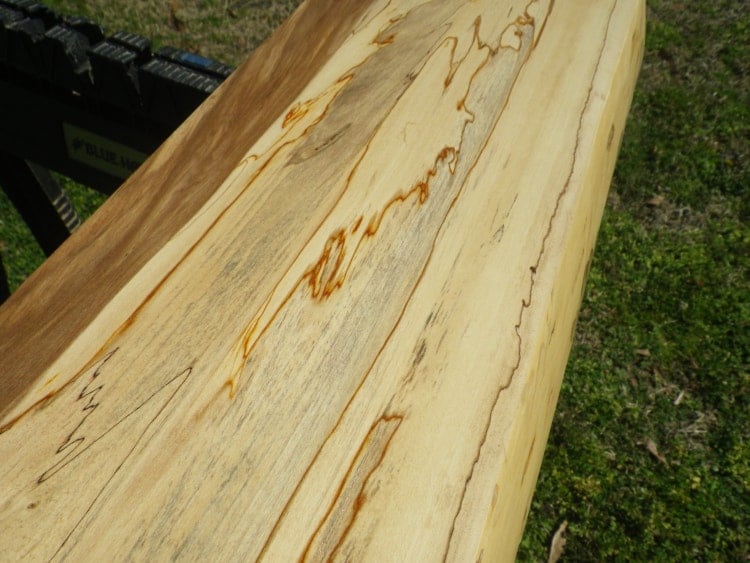 Live Edge Spalted Sweet Gum Wood Slab Finished by HurricaneMilling