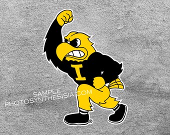 Herky the hawk | Etsy