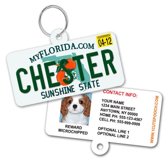license plate pet id tags