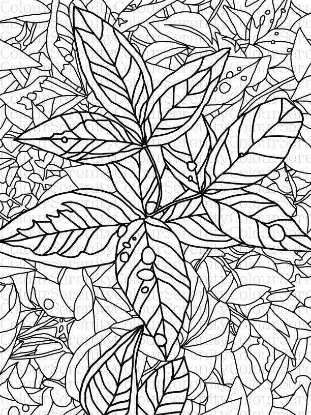 Leaves Adult Coloring Page Printable Instant Download 18