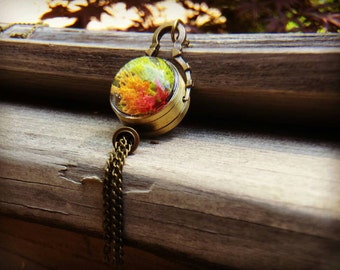 Steampunk Terrarium Necklace, bronze pendant, reindeer moss pendant