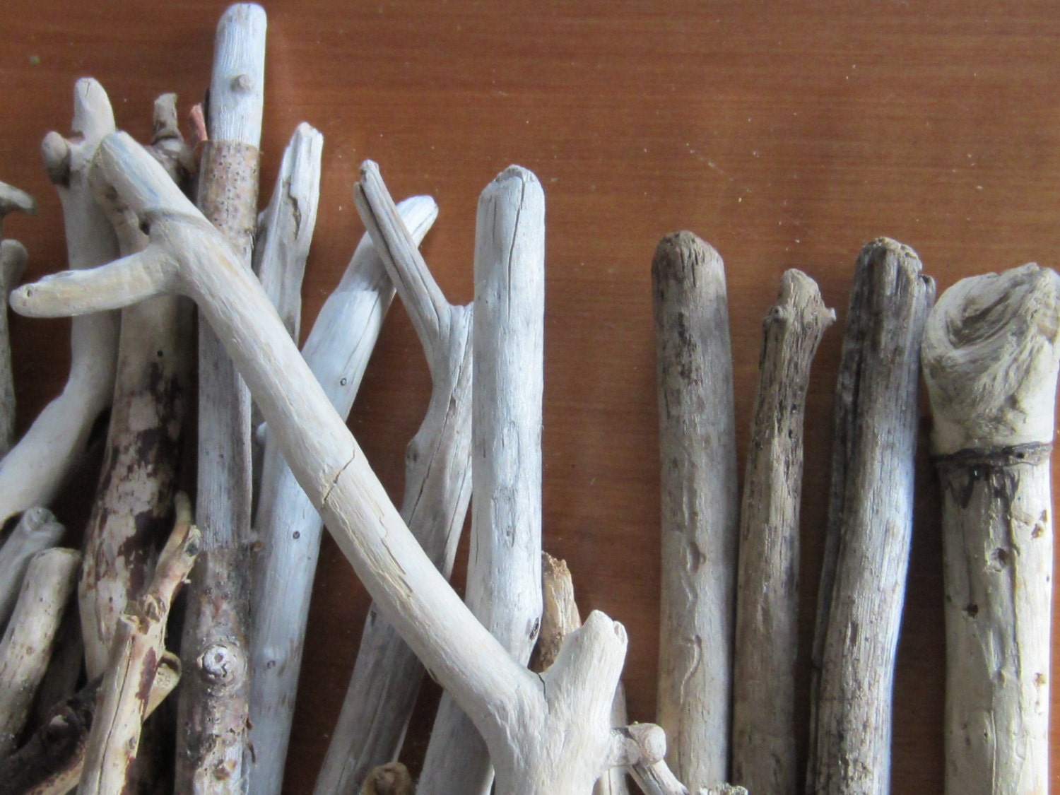 20 Pieces Maine Driftwood Branches 1520 x by SaltyGirlandLongDog