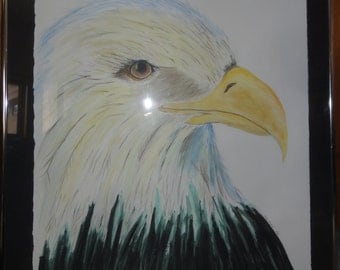  Bald eagle drawing Etsy