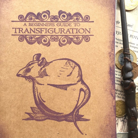 A Beginner s Guide To Transfiguration Read Mediumship Scrying 