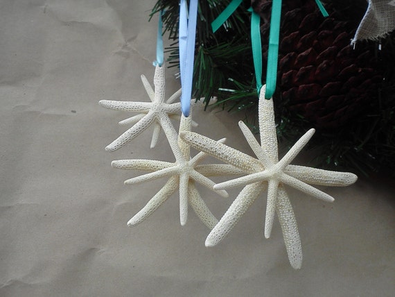starfish ornaments 3 genuine starfish snowflake by starfish ornaments 3 genuine starfish snowflake by