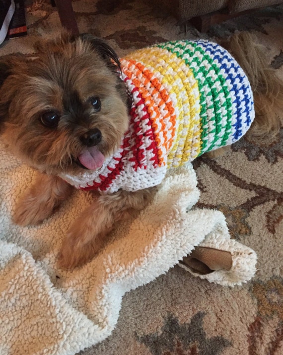 Rainbow Dog Sweater Crochet Dog Sweater Crochet Dog Clothes
