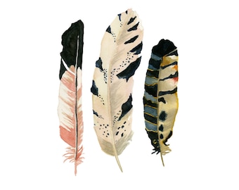 Feather Watercolor Print-"The MacGregor" 5x7 Giclee print, Feather painting, Three feathers, Wall art, Nursery Decor, Housewarming