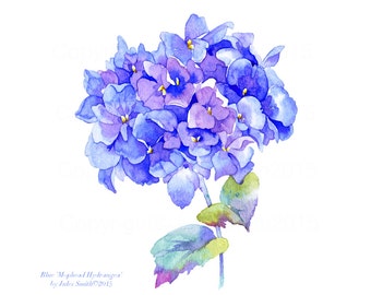 Hydrangea Wall Art hydrangea art | etsy Hydrangea Wall Art hydrangea art | etsy