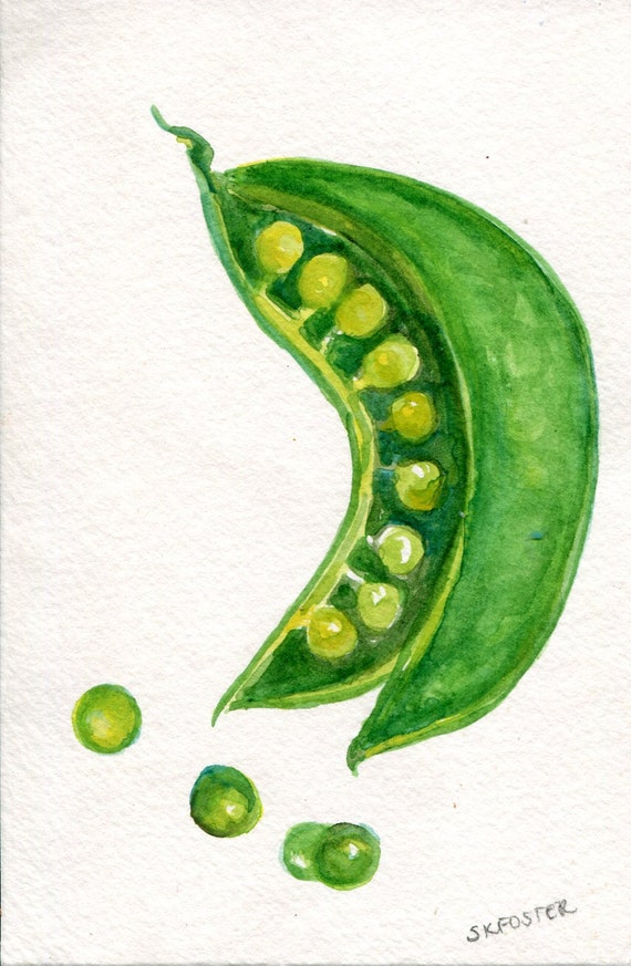 English Peas watercolor painting Original art by SharonFosterArt