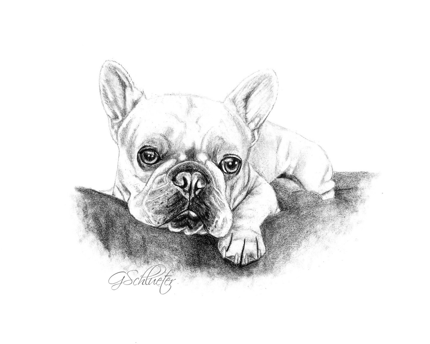 Coloriage Chien Bouledogue Francais