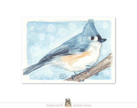Tufted Titmouse in Snow 5x7 Art Print of by SaylorWolfWatercolor