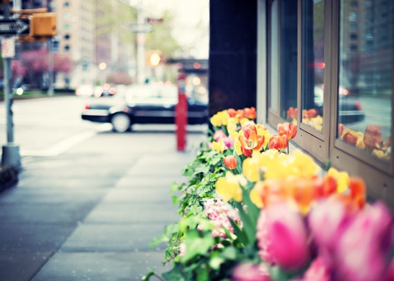 Upper East Side Sidewalk Tulips