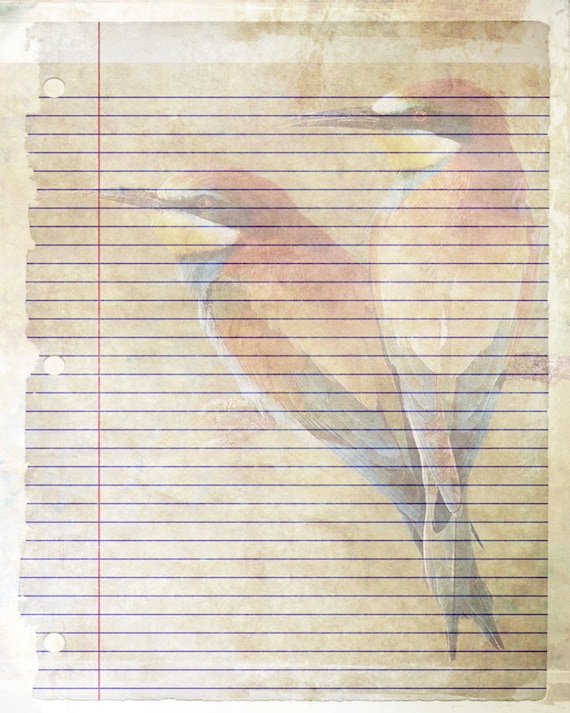 Printable Journal Page Bird Writing Lined Stationery 8 x 10