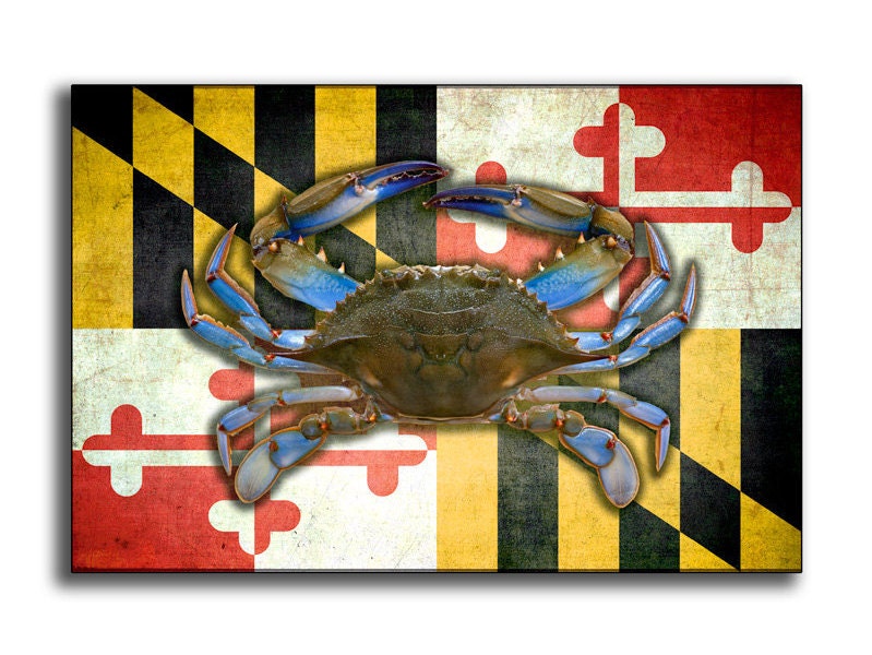 Maryland Crab Flag Photo Print