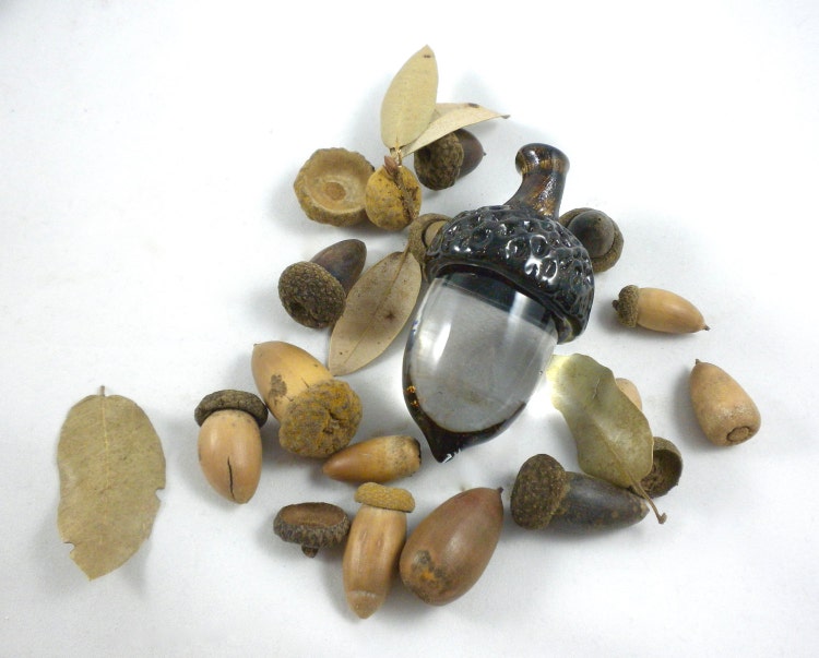 Glass Acorns solid hand sculpted glass oak acorns by BayBlownGlass