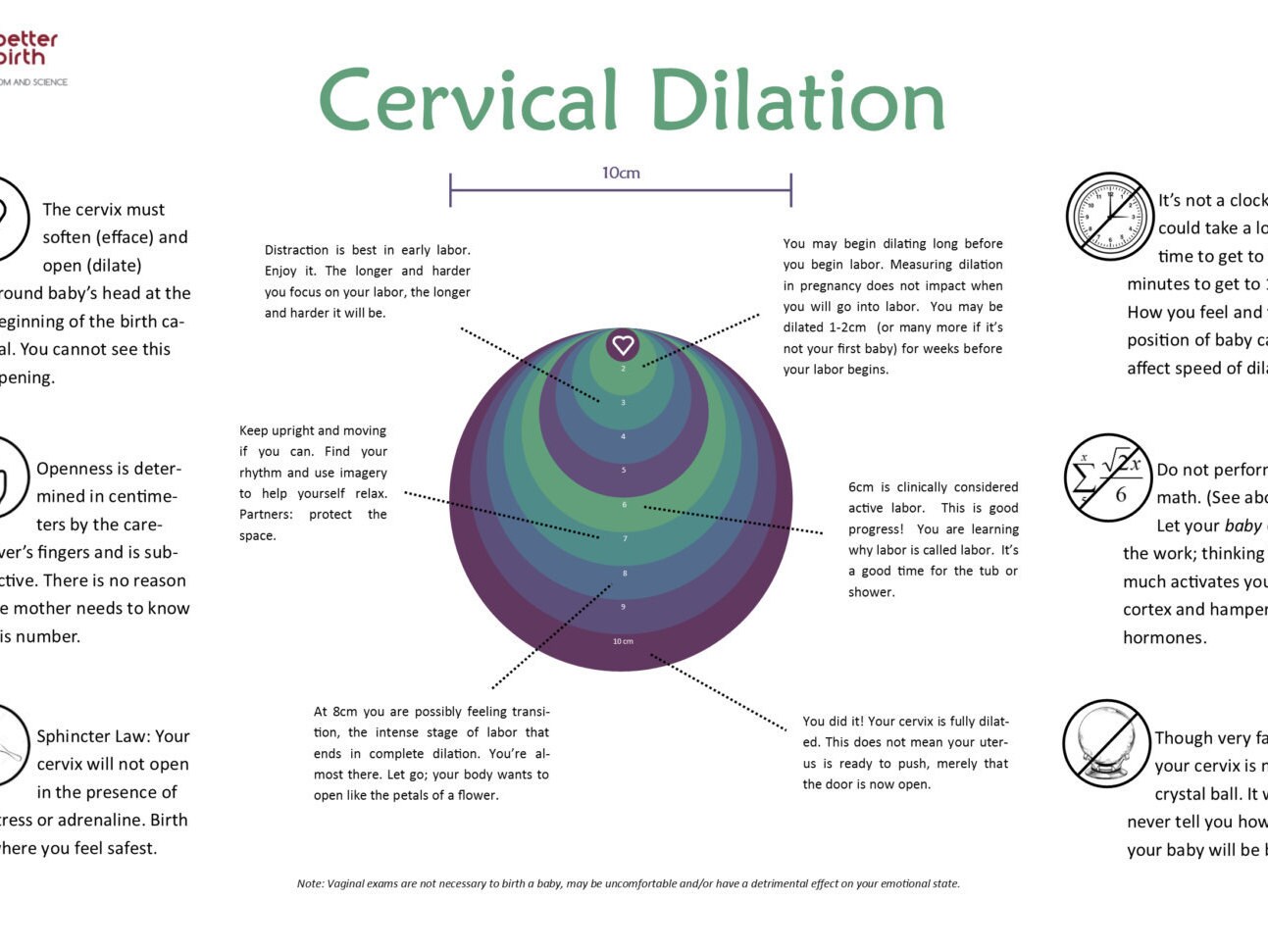 Cervix Poster Labor and Birth Dilation11x17 printable for