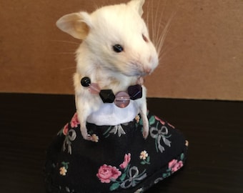 Items similar to Super Mouse - Taxidermied Mouse Come to Save the Day ...