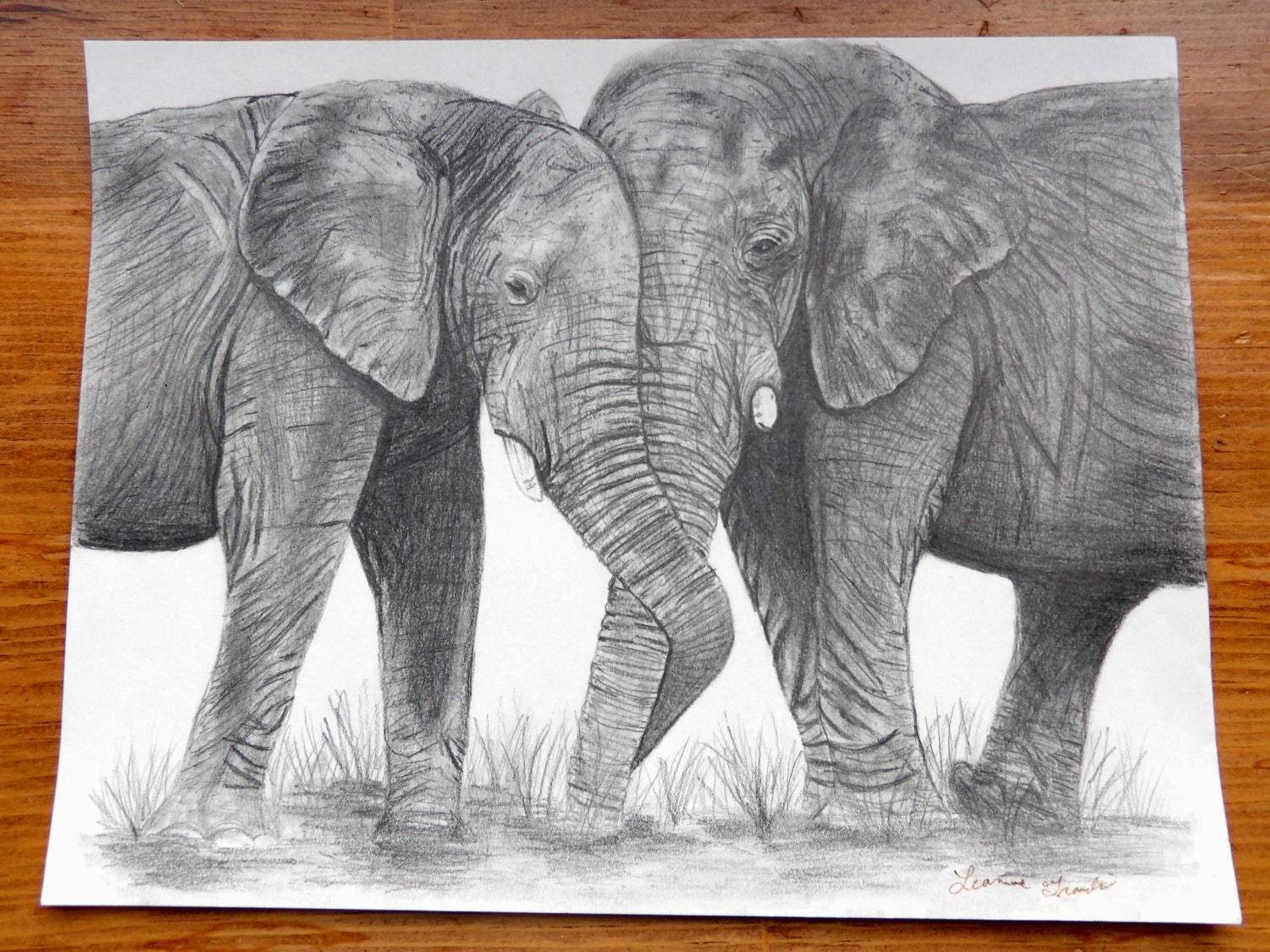 Download Elephants pencil drawing print 8x10 card stock. Drawing print.