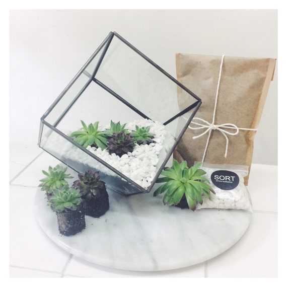 Handmade large square terrarium greenhouse in glass by sortcement