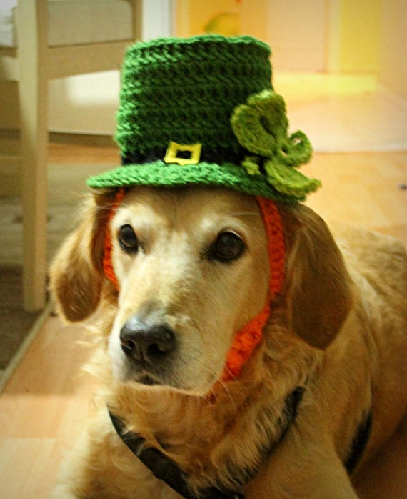 Leprechaun Hat for Dogs St Patricks Day Dog Hat by AegeanDrawn