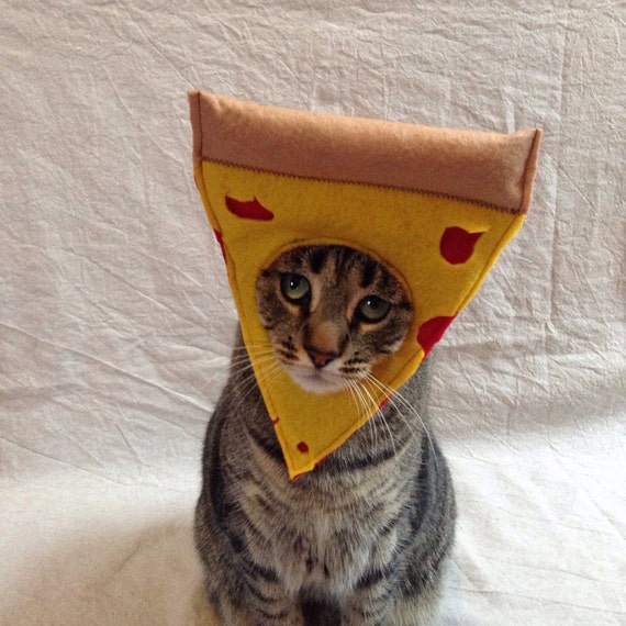 jelly cat pizza