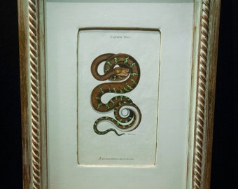Vintage Framed Canine Boa Print with Handmade Gesso Matte