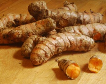 8 Healthy Turmeric Roots ,Whole,Raw ,Organic 2oz. Juice it,brew it or plant it