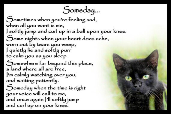 Beautiful Black Cat Memorial Pet Loss Bereavement Rainbow