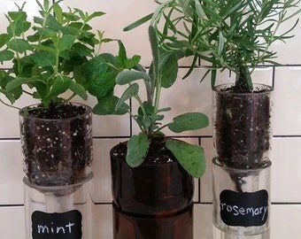 Self-Watering Recycled WINE BOTTLE PLANTER , Herb Planter (olive green)