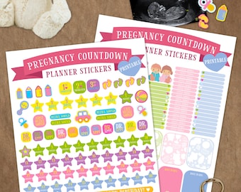 Countdown to pregnancy stickers, Pregnancy Planner Stickers, baby planner, Pregnancy Tracker, Tracker Stickers, Sticker Sheet