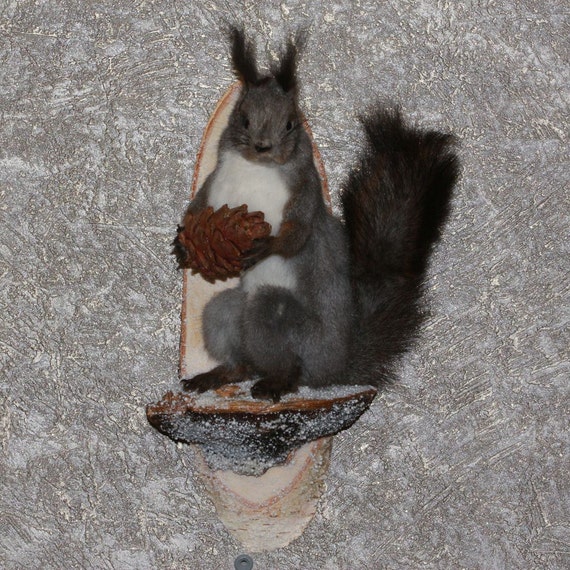 gray squirrel stuffed animal